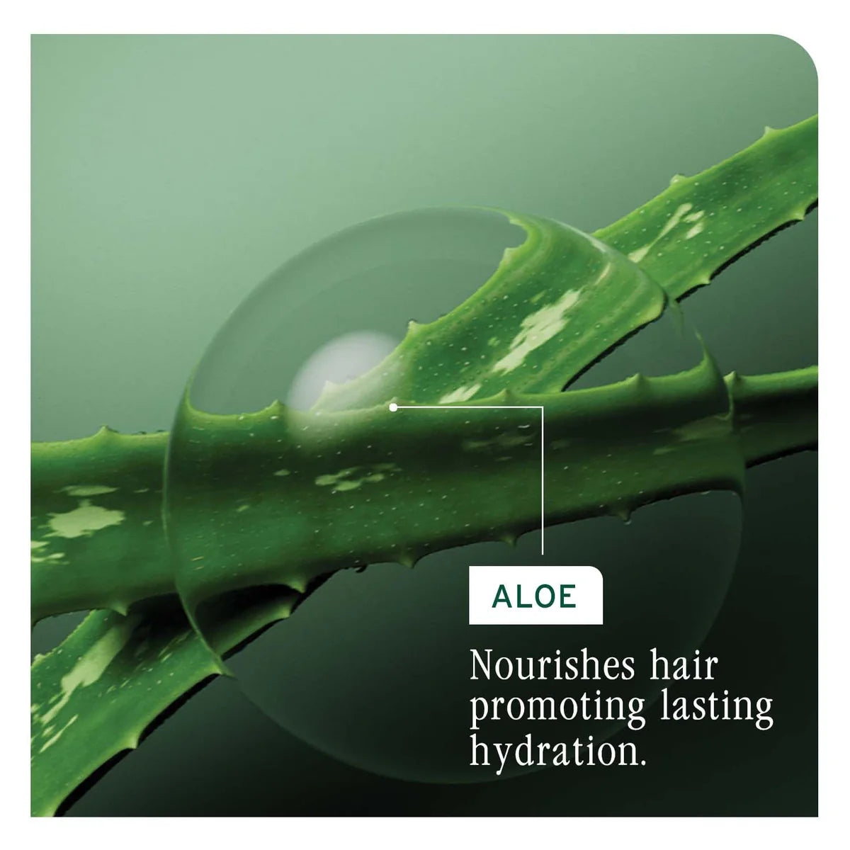 Matrix Biolage Hydrasource Plus Professional Shampoo For Dry Hair (200ml)