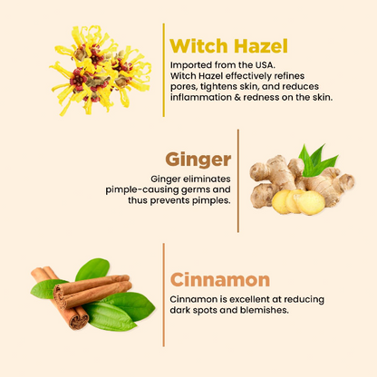 The Skin Story Ginger & Cinnamon Facewash - Pimple Control, 100 ml