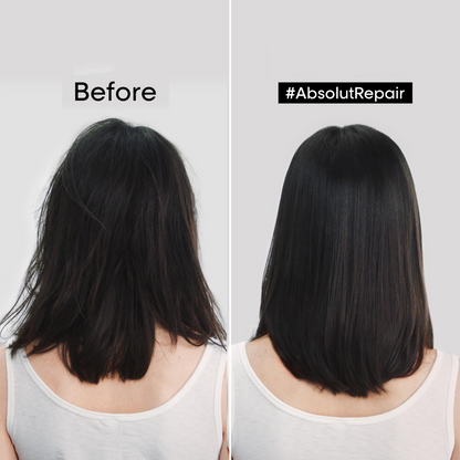 L'Oreal Professionnel Absolut Repair Hair Mask For Dry and Damaged Hair (490gm)