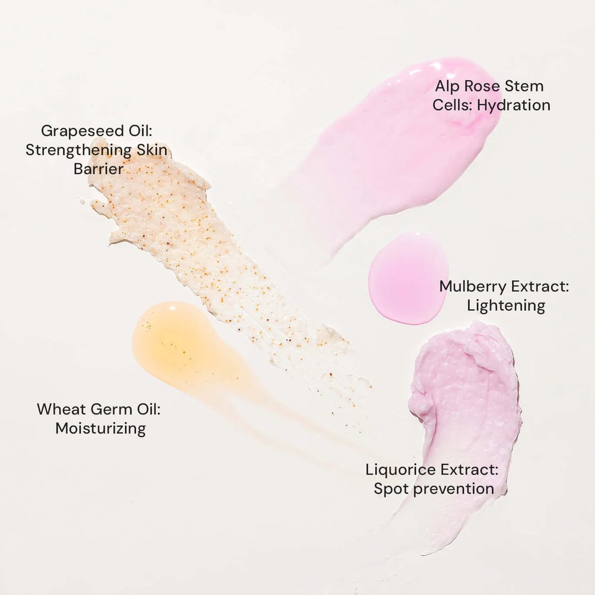 Brightening Power of Mulberry & Alp Rose Stem Cells