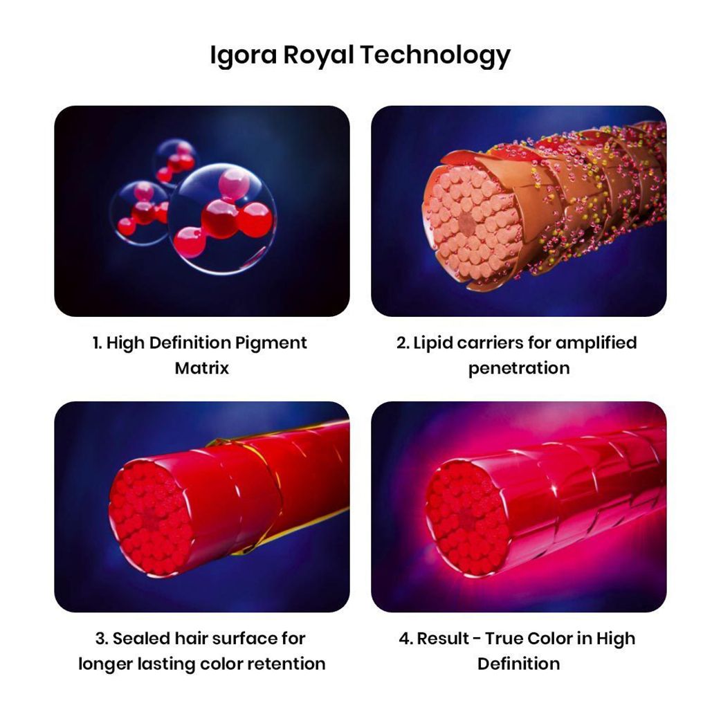 Schwarzkopf Professional IGORA Royal Fashion Lights Permanent Highlight Color Creme (L-77 Copper Extra)