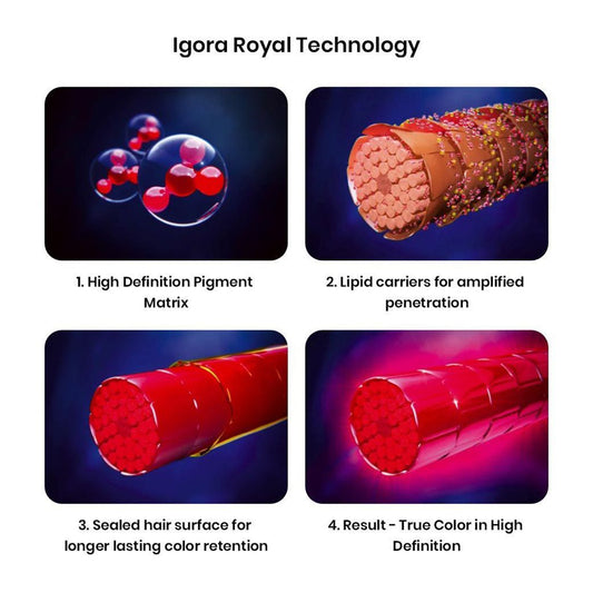Schwarzkopf Professional Igora Royal Permanent Color Creme (9,5-1 Pearl)